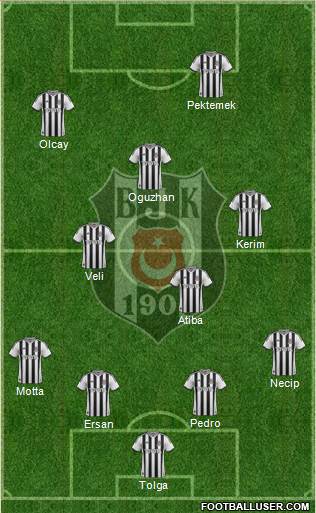 Besiktas JK Formation 2014