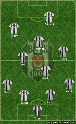 Besiktas JK Formation 2014