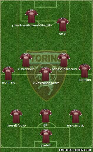 Torino Formation 2014