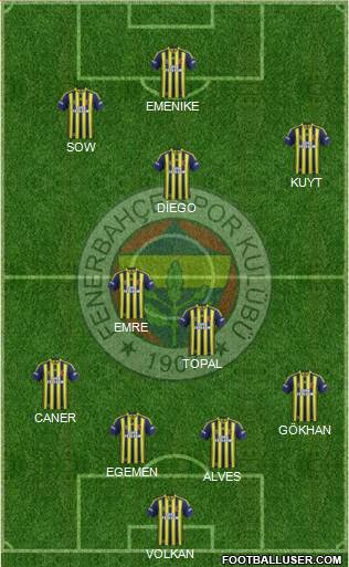 Fenerbahçe SK Formation 2014