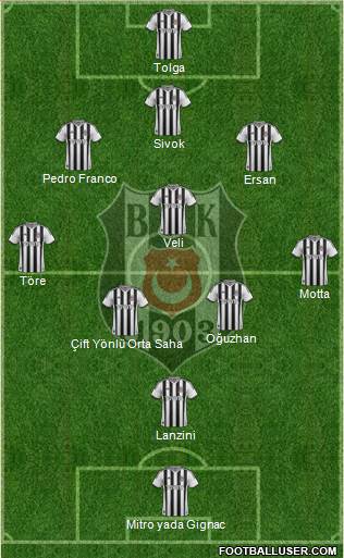 Besiktas JK Formation 2014