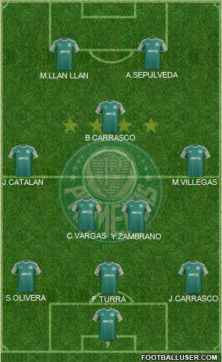 SE Palmeiras Formation 2014