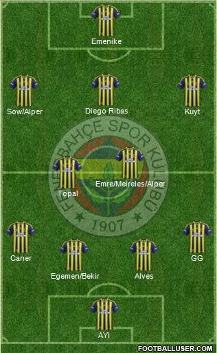 Fenerbahçe SK Formation 2014