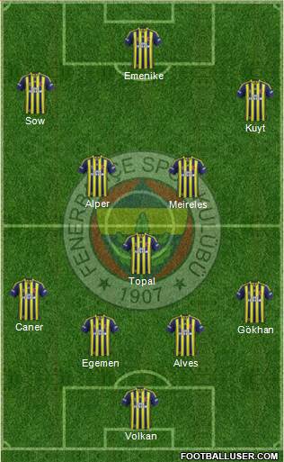Fenerbahçe SK Formation 2014