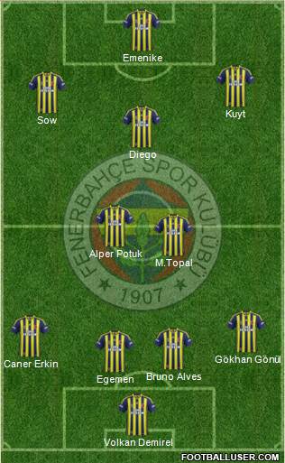 Fenerbahçe SK Formation 2014