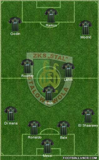 Stal Stalowa Wola Formation 2014