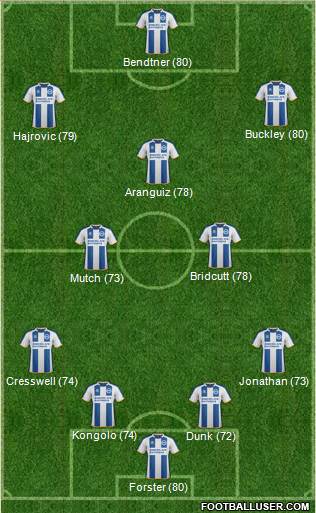 Brighton and Hove Albion Formation 2014