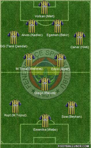 Fenerbahçe SK Formation 2014