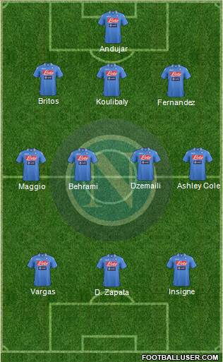 Napoli Formation 2014