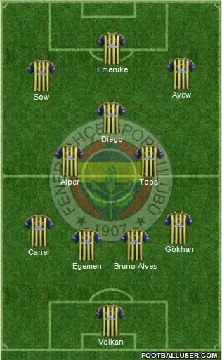 Fenerbahçe SK Formation 2014