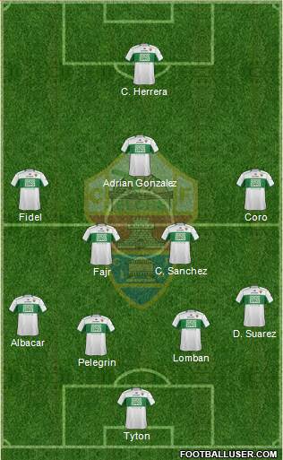 Elche C.F., S.A.D. Formation 2014