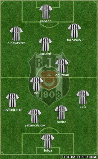 Besiktas JK Formation 2014
