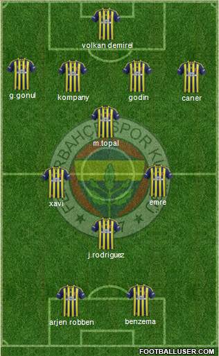 Fenerbahçe SK Formation 2014