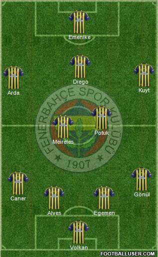 Fenerbahçe SK Formation 2014