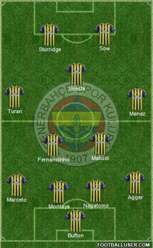 Fenerbahçe SK Formation 2014