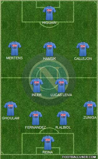 Napoli Formation 2014