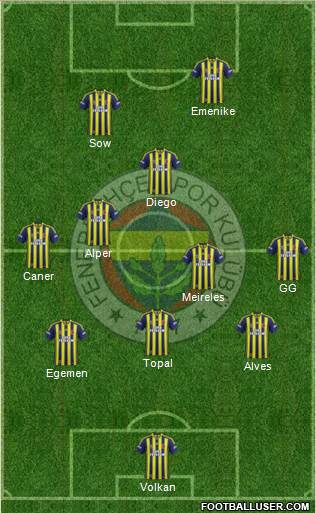 Fenerbahçe SK Formation 2014