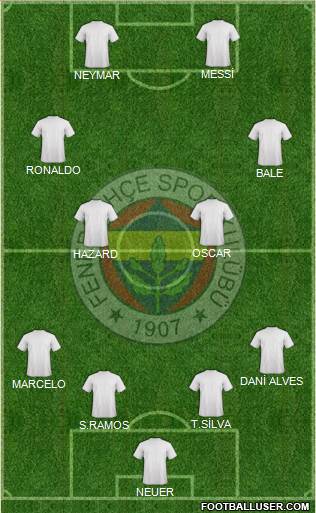 Fenerbahçe SK Formation 2014