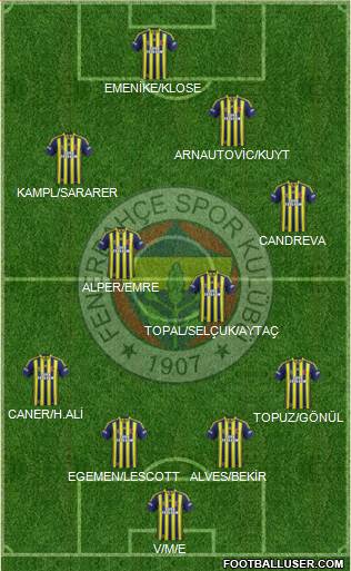 Fenerbahçe SK Formation 2014