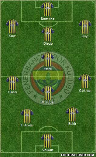 Fenerbahçe SK Formation 2014
