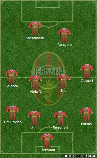 Ternana Formation 2014