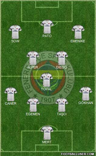 Fenerbahçe SK Formation 2014