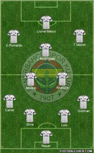 Fenerbahçe SK Formation 2014