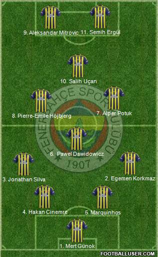Fenerbahçe SK Formation 2014
