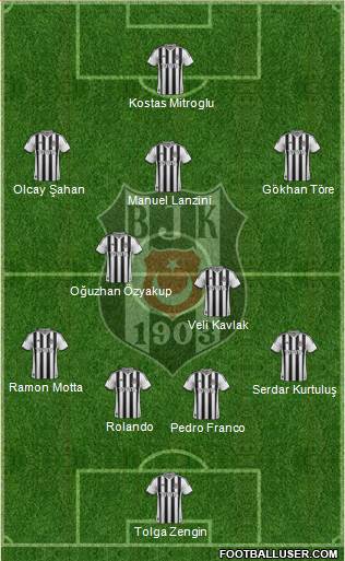 Besiktas JK Formation 2014