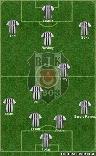 Besiktas JK Formation 2014