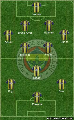 Fenerbahçe SK Formation 2014