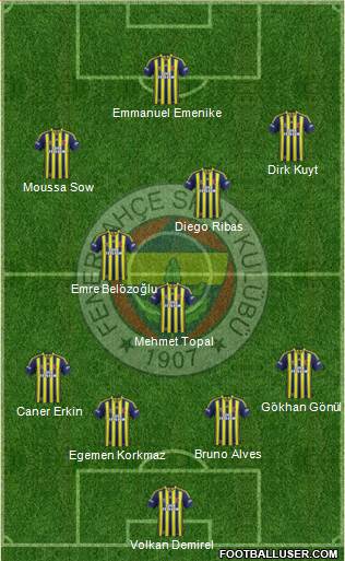 Fenerbahçe SK Formation 2014