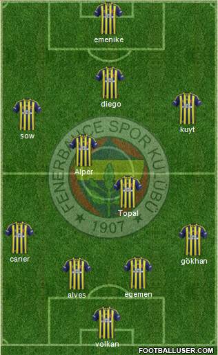 Fenerbahçe SK Formation 2014
