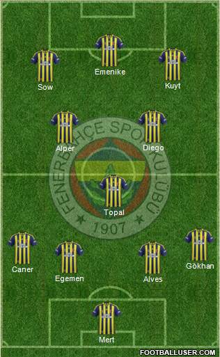 Fenerbahçe SK Formation 2014