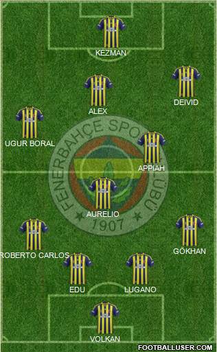Fenerbahçe SK Formation 2014