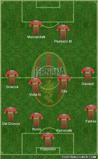 Ternana Formation 2014