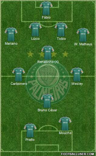 SE Palmeiras Formation 2014