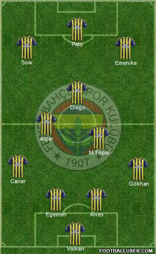 Fenerbahçe SK Formation 2014