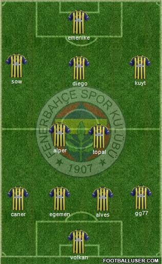 Fenerbahçe SK Formation 2014