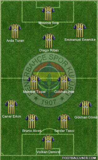 Fenerbahçe SK Formation 2014