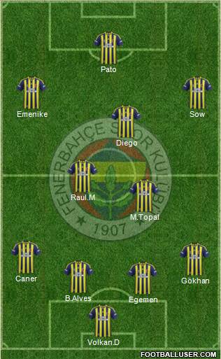 Fenerbahçe SK Formation 2014
