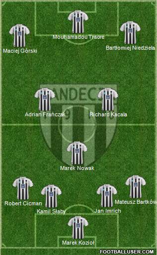 Sandecja Nowy Sacz Formation 2014