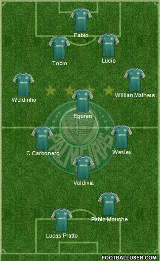 SE Palmeiras Formation 2014