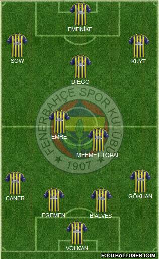 Fenerbahçe SK Formation 2014