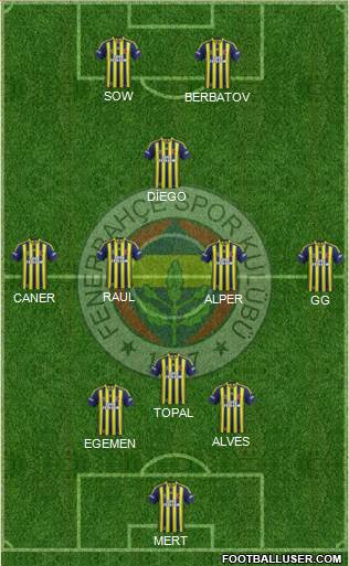 Fenerbahçe SK Formation 2014