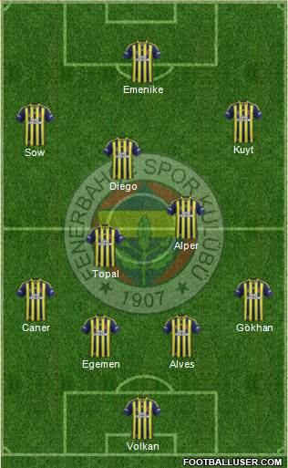 Fenerbahçe SK Formation 2014