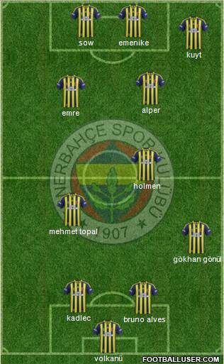 Fenerbahçe SK Formation 2014