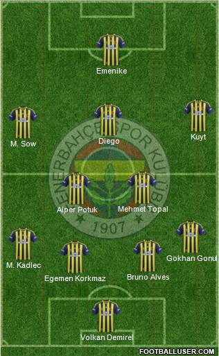 Fenerbahçe SK Formation 2014