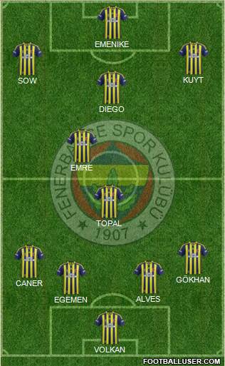 Fenerbahçe SK Formation 2014