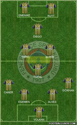 Fenerbahçe SK Formation 2014